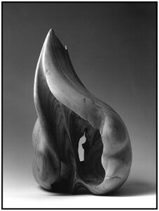 Mollusc