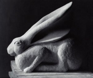Clipsham Hare