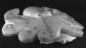 Marble Octopus