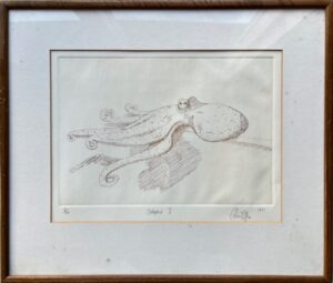 Octopus 1